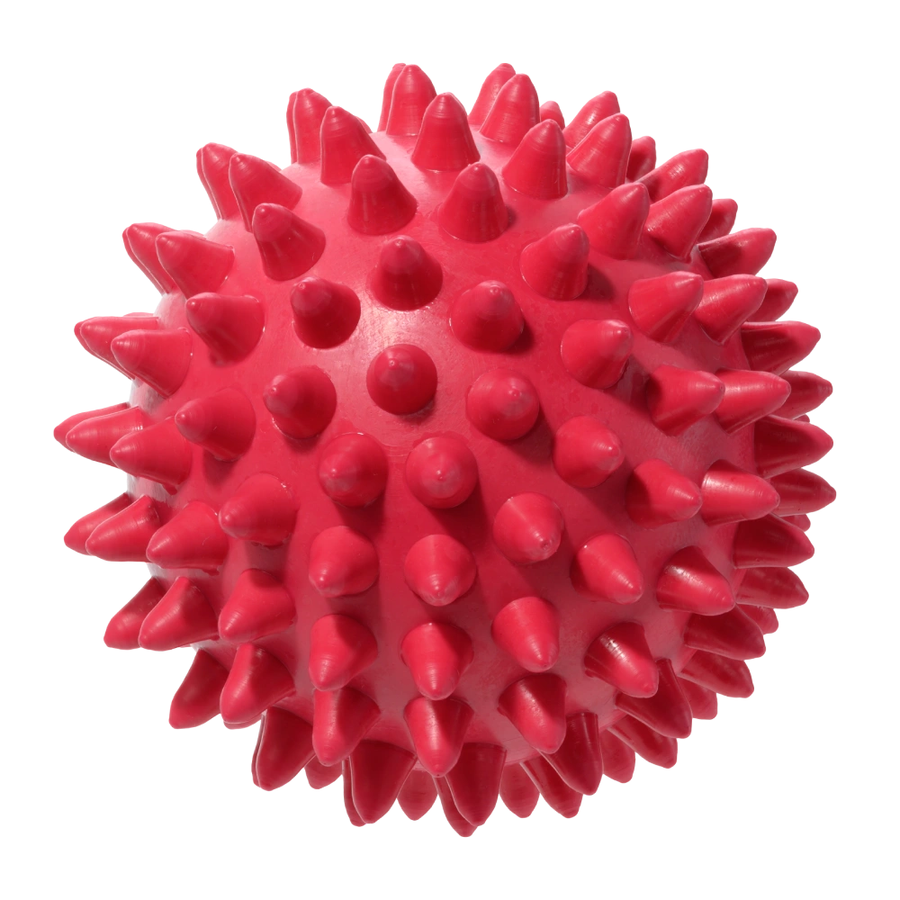 Spiky Massage Chew Ball