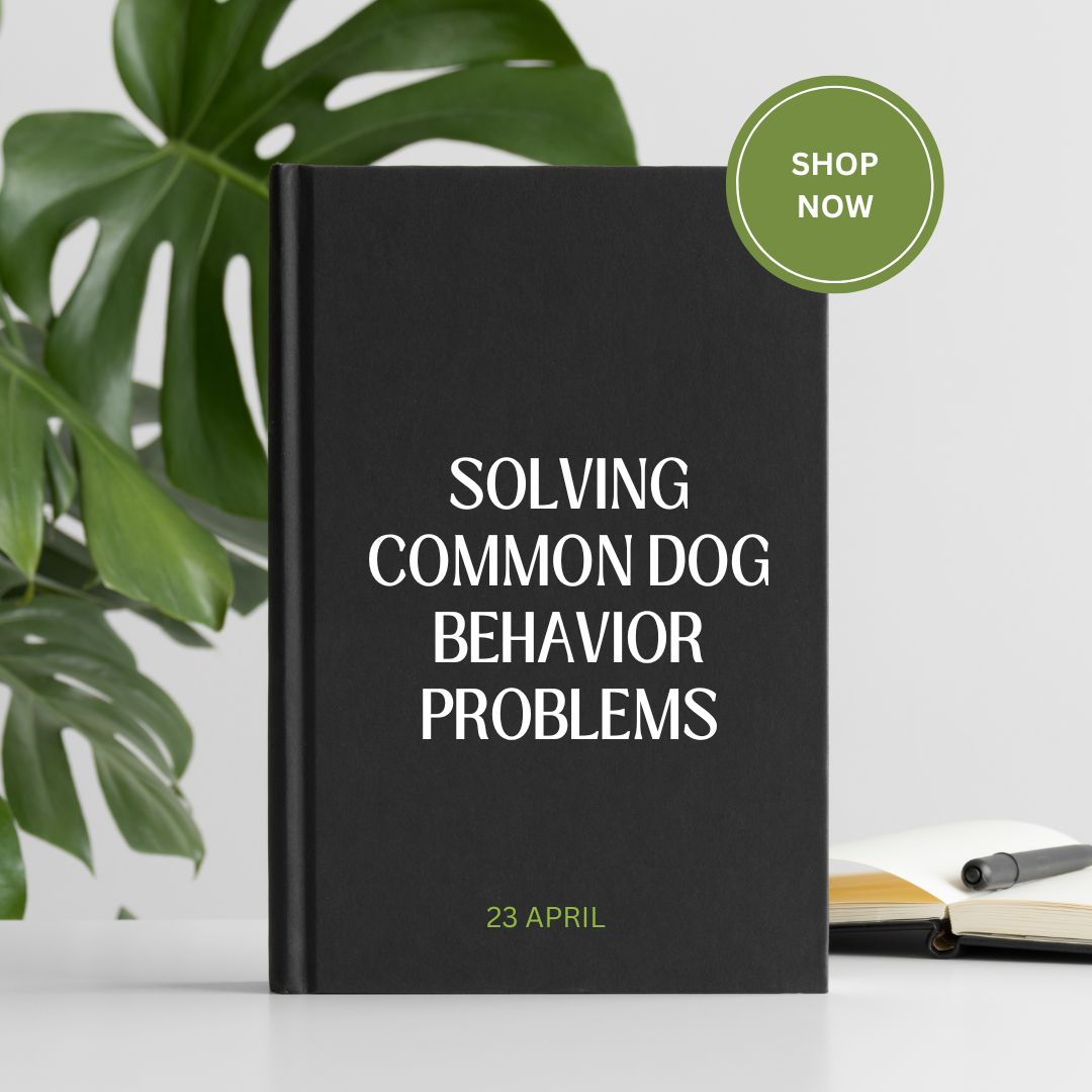 Solving Common Dog Behavior Problems